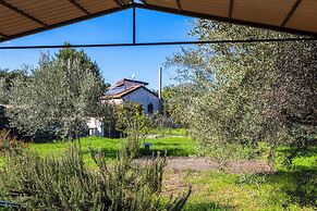 Vigna Dell'Etna