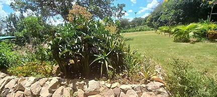 Casa Kalimbini Resort