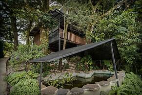 Casa ficus Monteverde