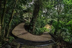 Casa ficus Monteverde