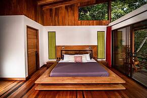 Casa ficus Monteverde