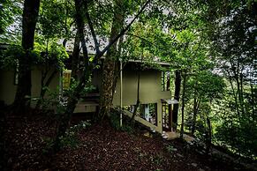 Casa ficus Monteverde