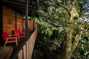 Casa ficus Monteverde