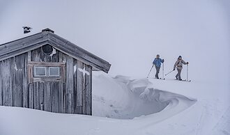 Fjällnäs Est. 1882