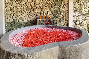 Saughina Ubud Tranquil Ubud Villa With Private Infinity Pool and Jungl