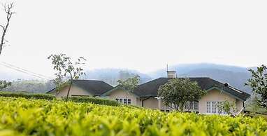 Aadya Tea Bungalow by Aahaasa