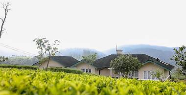 Aadya Tea Bungalow by Aahaasa