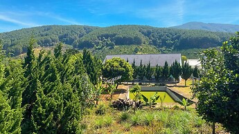 Robins Farmstay