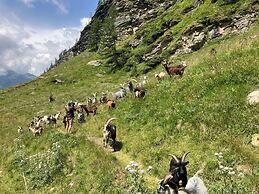 Appartementhaus Flattach