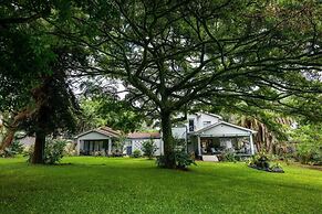 Macadamia Boutique Living