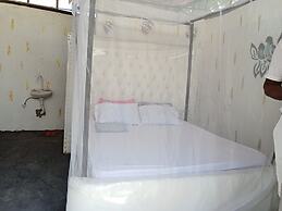 Babalao Beach Resort  Backpackers & Tent