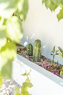 Las Guapas Villa