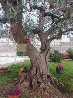 Apulian Charme Trulli & Cottage