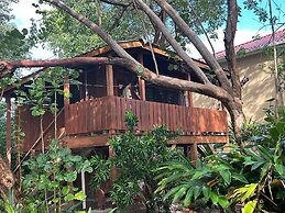 Treetop Beachfront Cabana