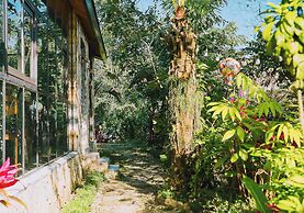 TV Palm Ecolodge Ha Giang