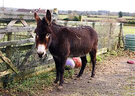 Bathway Farm