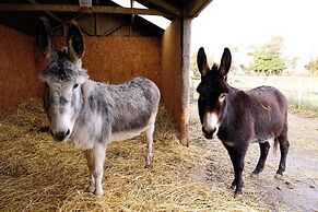 Bathway Farm