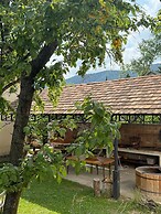 Aragvispiri Wine Cellar