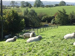 Bryn Y Garreg Cottage - The Wireless Free Farm