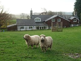 Bryn Y Garreg Cottage - The Wireless Free Farm