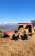 Traveller Hive - Kasar Devi