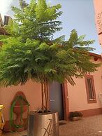 Maison belle epoque
