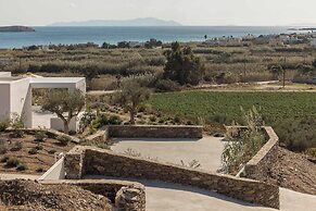 Golden Coast Villa Rodi Private Wadingpool Gem in Paros