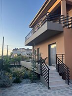 Olivevine1 Olivevine1-