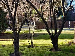 Cabañas Remanso del Bosque
