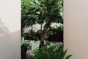 Casa Querida