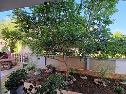 Apartment Perla in Vir