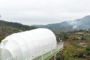 The Vanikaya