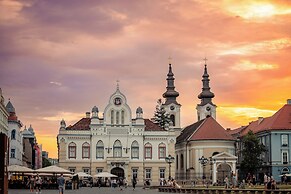 1st Nest in Heart of Timisoara