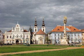 1st Nest in Heart of Timisoara