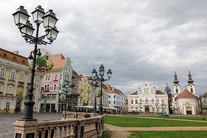 1st Nest in Heart of Timisoara