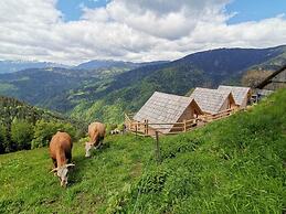 Farmstay&Glamping Visočnik