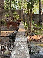 Sadachandra Home Stay