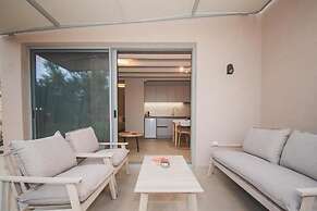 helichrysum lofts