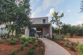 helichrysum lofts