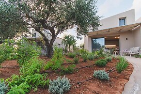 helichrysum lofts