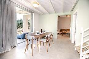 helichrysum lofts