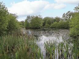 Bryn Isaf