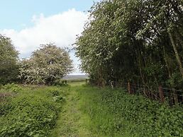 Bryn Isaf