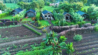 Kibo View Farm Lodge