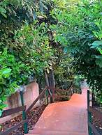 Hotel Amica