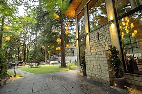 The Chestnut Grove