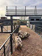Copper Castle & Petting Farm near Legoland