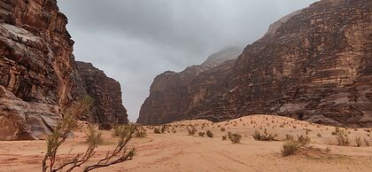 Wadi Rum Adventure Camp