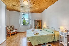 Butterfly Apartment