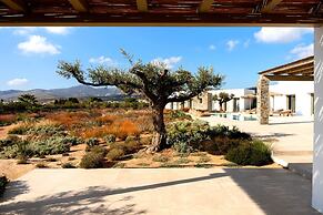 Luxury Villa Jaspis Paros